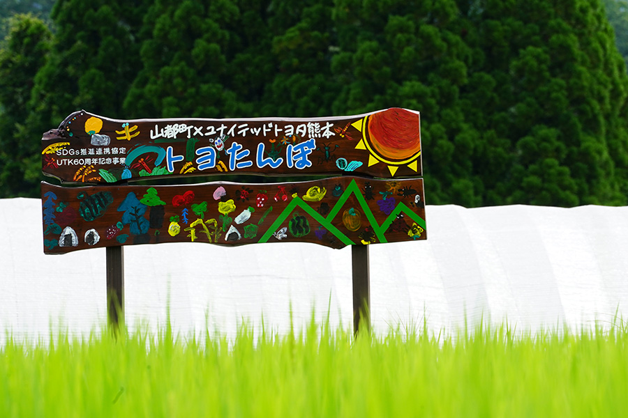トヨたんぼ看板設置2
