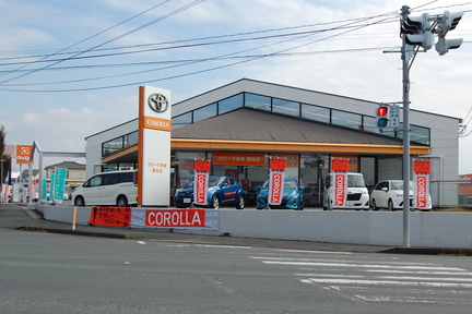 kikuchi