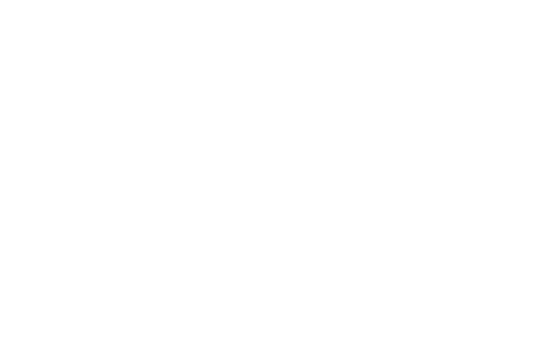 5_syasyu