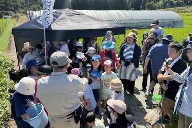 202608トヨたんぼ生き物観察会サムネ